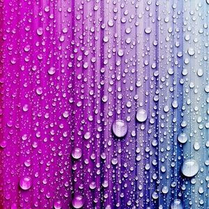 Meet your Posher, Gwindolyn